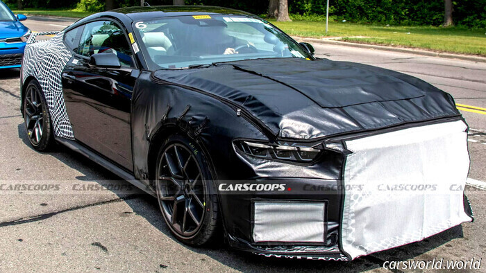 12 ноября 2025 17:23 ОбществоСпрос на организацию новогодних корпоративов в Нижнем Новгороде в этом году снизился. Об этом сообщили представители ивент-индустрии в разговоре с ИА "Время Н".
По словам директора агентства "Uno Event Group" Петра Лапина, количество заказов уменьшилось по сравнению с аналогичным периодом прошлого года. Он уточнил, что пик бронирований приходится на середину месяца.
Менеджер агентства "Праздничное настроение" Анна Сухорукова согласилась с этим мнением, отметив, что количество обращений снизилось примерно на треть.
Хотя активность в сфере ивент-услуг снизилась, нижегородцы не отходят от празднования Нового года в ресторанах.
Управляющая Dodici Ольга Ли сообщила, что бронирование залов идет активно, и по объему заказов этот год не уступает предыдущему. Уже забронированы самые популярные даты — 19, 20 и 26 декабря.
Наталья Дзюбо, директор агентства Party Stars, добавила, что наибольшая активность наблюдается ближе к концу декабря, при этом отмечается тенденция к более сдержанным формам празднования.
Ранее сообщалось, что депутаты нижегородской думы обсудили возможность выделения дополнительных средств из фондов на новогодние подарки и мероприятия для детей. У НИА "Нижний Новгород" есть Telegram-канал. Подписывайтесь, чтобы быть в курсе главных событий, эксклюзивных материалов и оперативной информации. Copyright © 1999—2025 НИА "Нижний Новгород". При перепечатке гиперссылка на НИА "Нижний Новгород" обязательна. Настоящий ресурс может содержать материалы 18+.